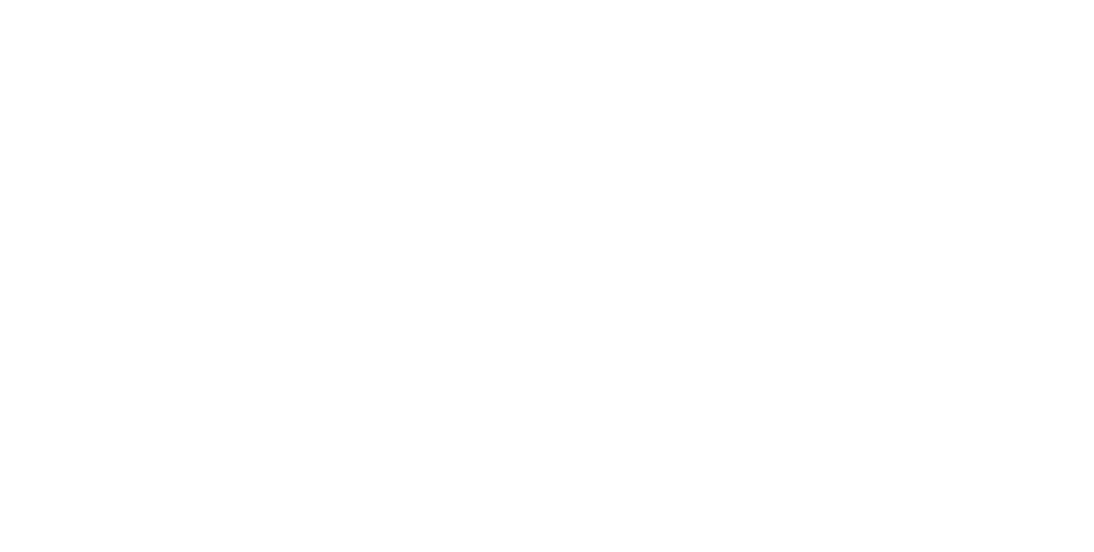 ELSA UMinho